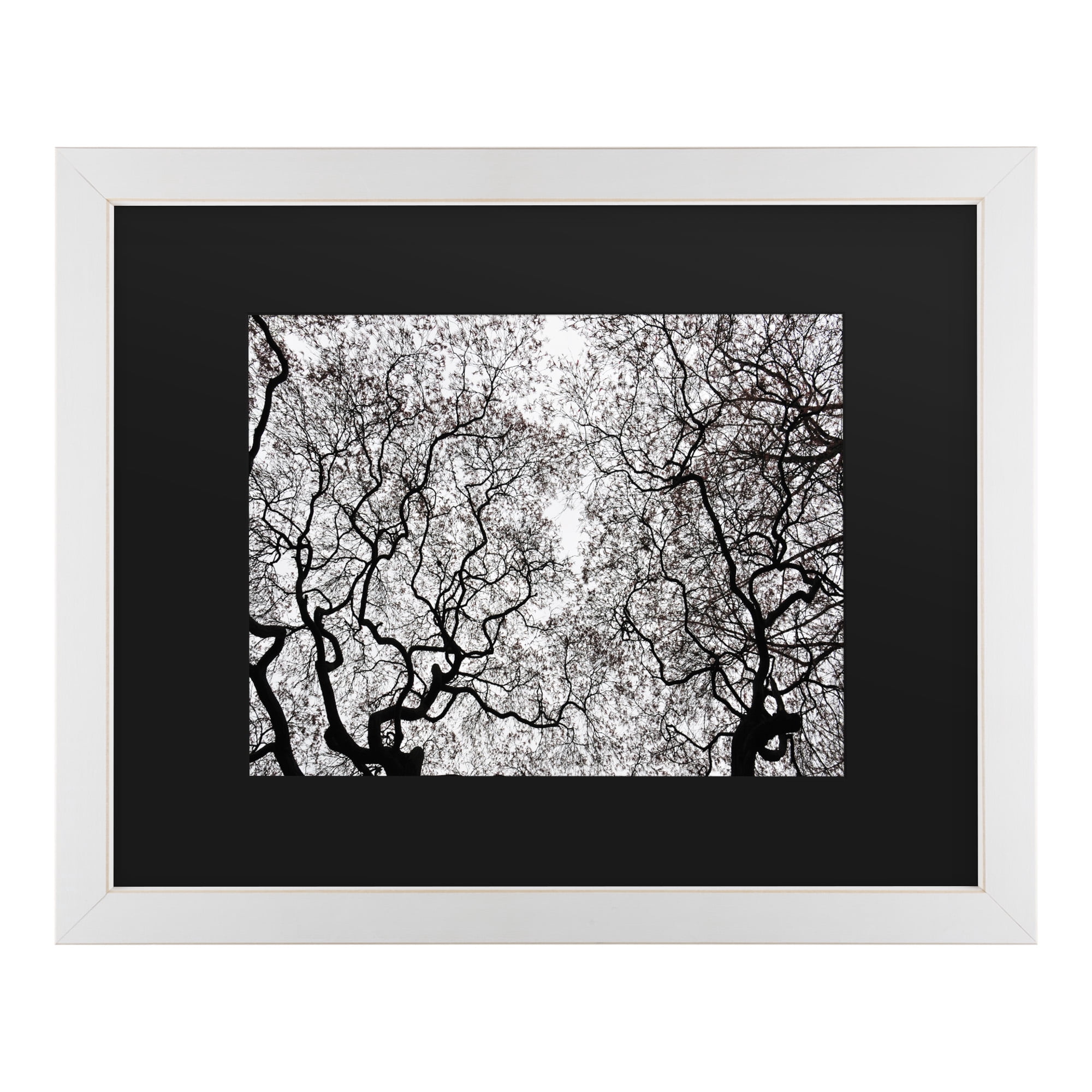 Trademark Fine Art 'Japanese Maple Spring Abstract' Canvas Art by Kurt Shaffer