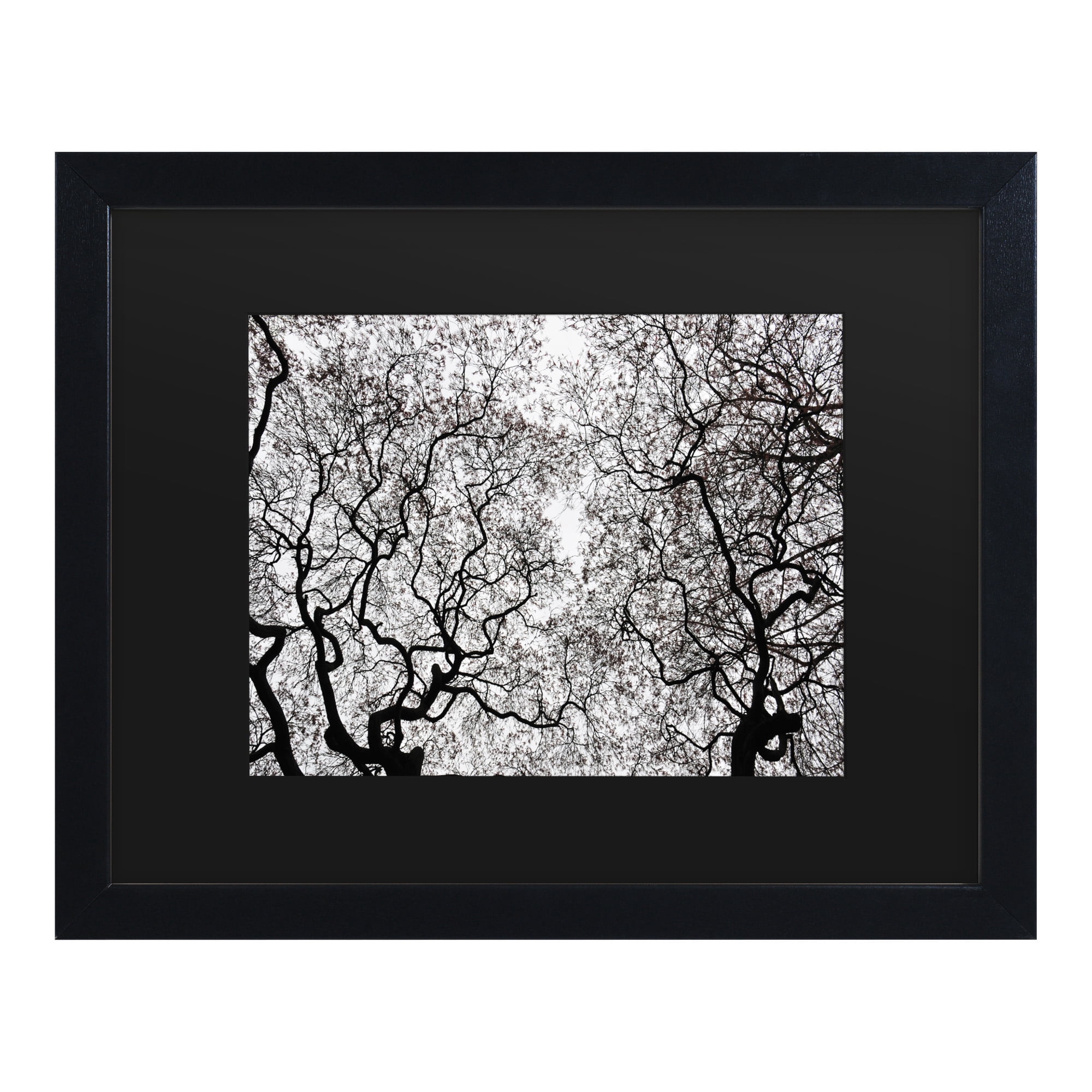 Trademark Fine Art 'Japanese Maple Spring Abstract' Canvas Art by Kurt Shaffer