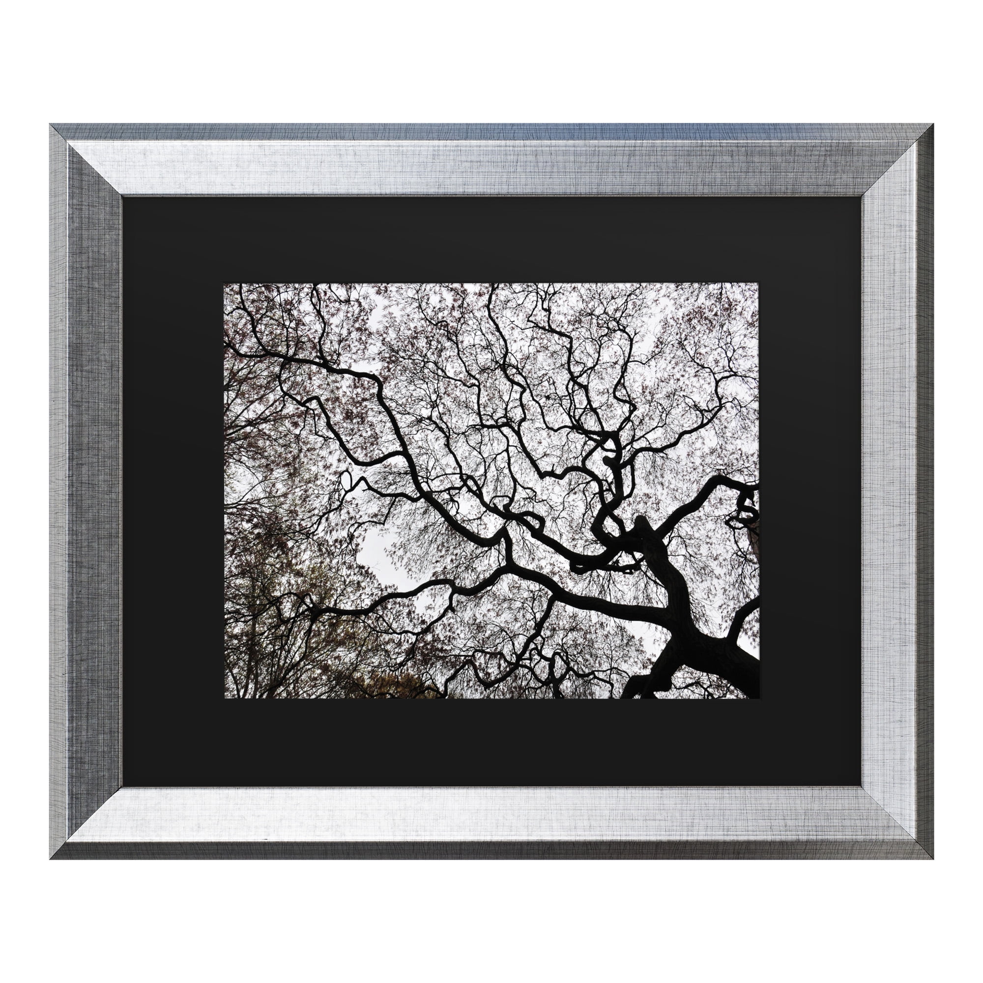 Trademark Fine Art 'Japanese Maple Spring Abstract II' Canvas Art by Kurt Shaffer