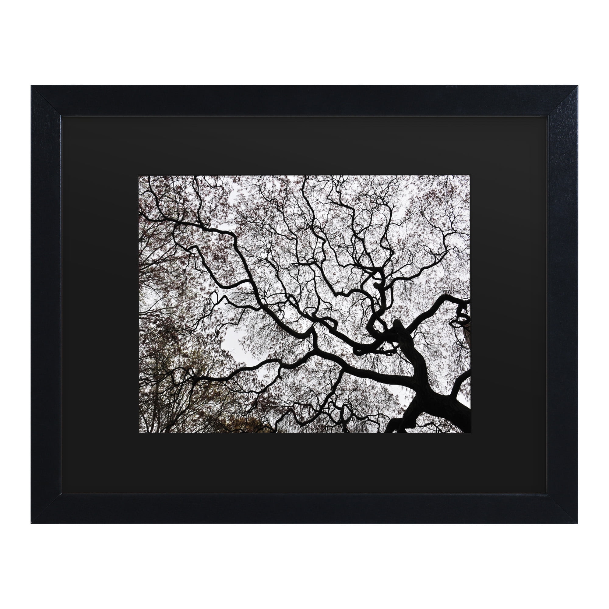 Trademark Fine Art 'Japanese Maple Spring Abstract II' Canvas Art by Kurt Shaffer