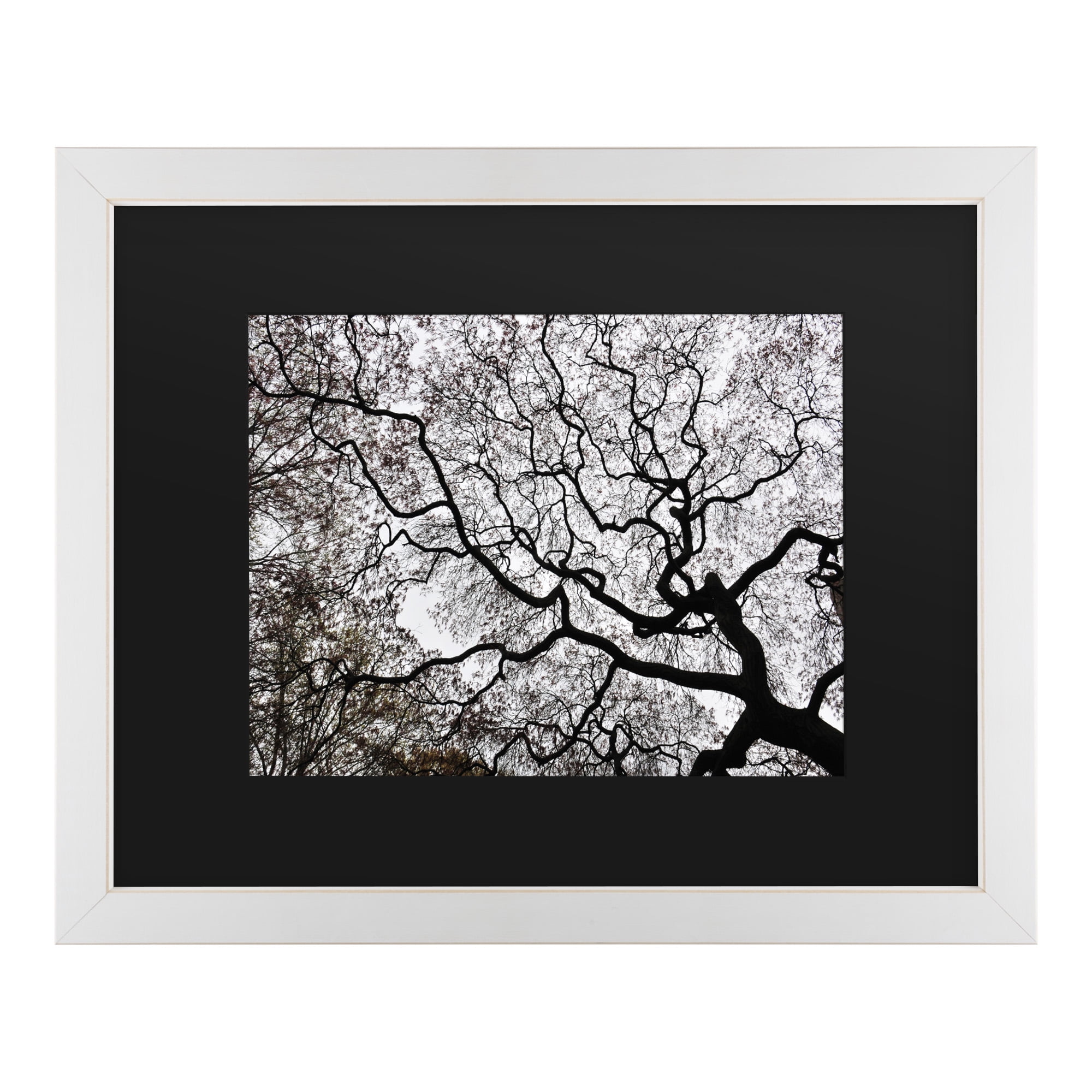 Trademark Fine Art 'Japanese Maple Spring Abstract II' Canvas Art by Kurt Shaffer