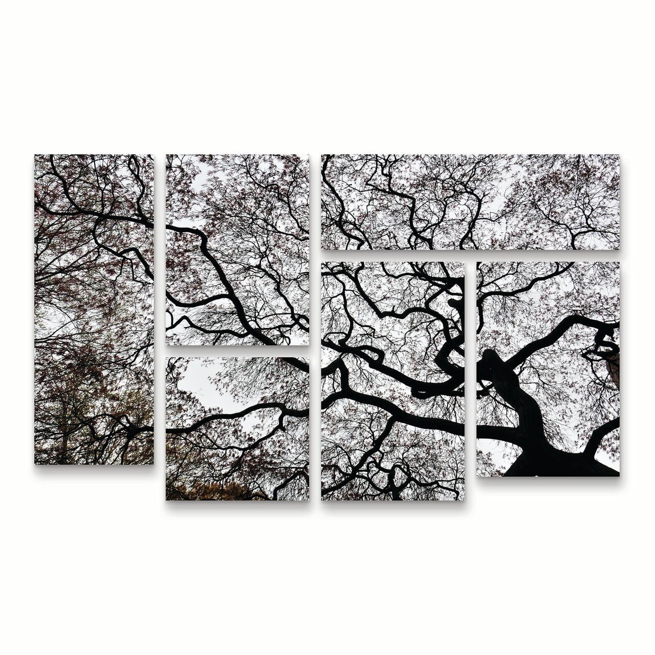 Trademark Fine Art 'Japanese Maple Spring Abstract II' Canvas Art by Kurt Shaffer