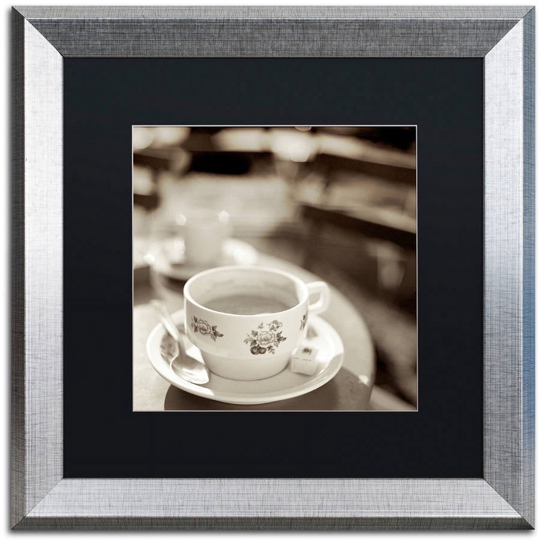 Trademark Fine Art "Jardin du Luxembourg II" Canvas Art by Alan Blaustein, Black Matte, Silver Frame