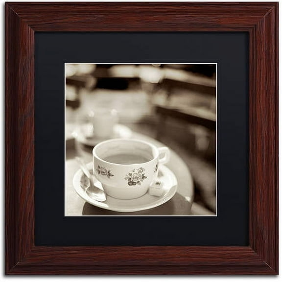 Trademark Fine Art "Jardin du Luxembourg II" Canvas Art by Alan Blaustein, Black Matte, Wood Frame