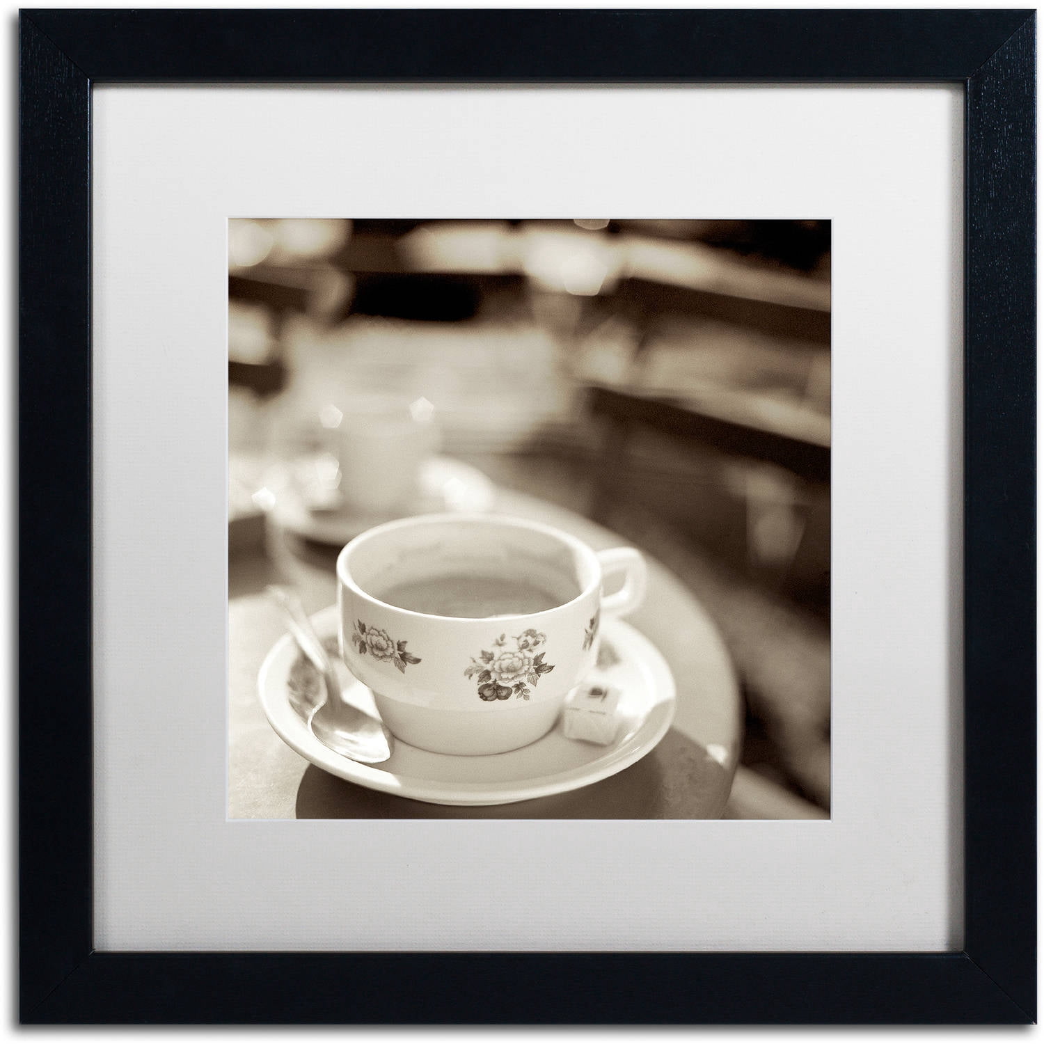 Trademark Fine Art "Jardin du Luxembourg II" Canvas Art by Alan Blaustein, White Matte, Black Frame