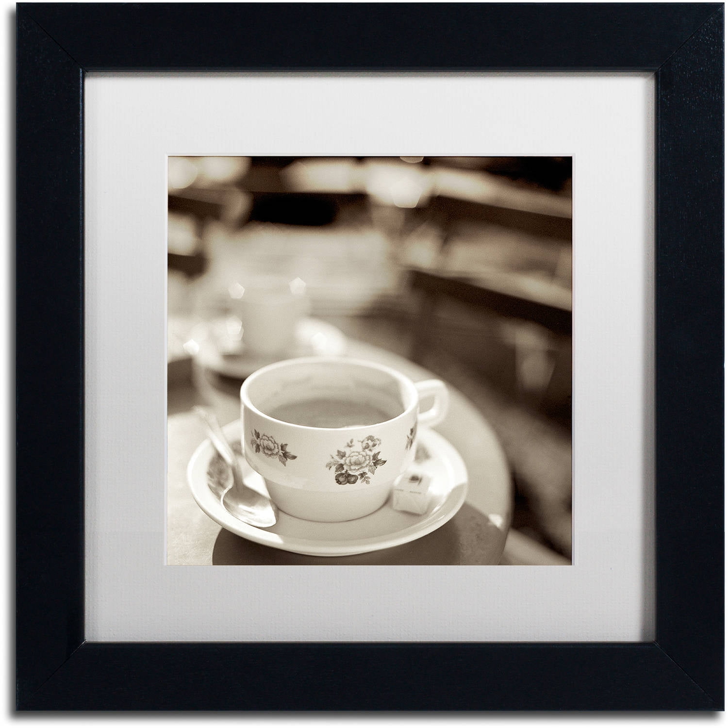 Trademark Fine Art "Jardin du Luxembourg II" Canvas Art by Alan Blaustein, White Matte, Black Frame