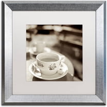 Trademark Fine Art "Jardin du Luxembourg II" Canvas Art by Alan Blaustein, White Matte, Silver Frame