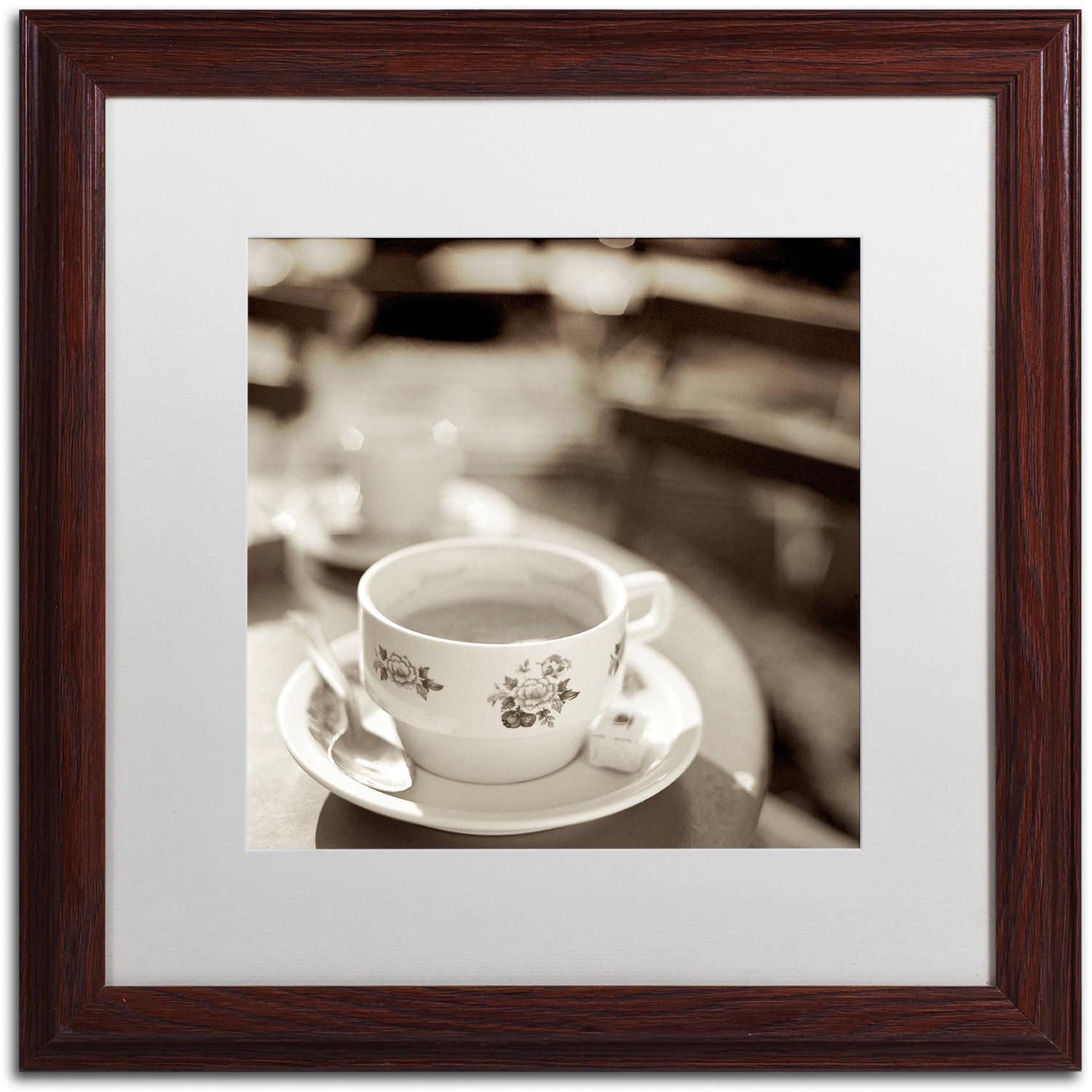 Trademark Fine Art "Jardin du Luxembourg II" Canvas Art by Alan Blaustein, White Matte, Wood Frame