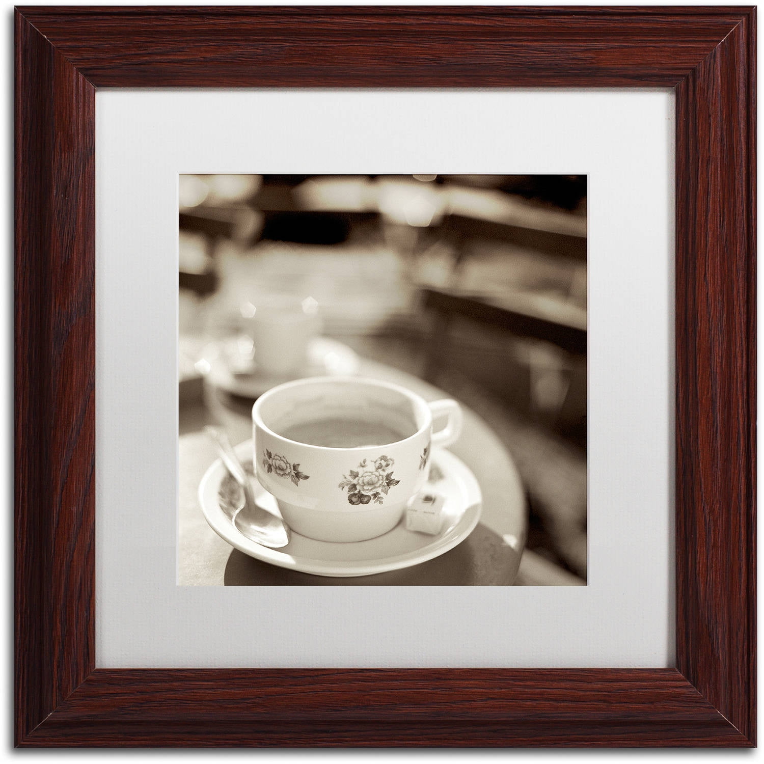 Trademark Fine Art "Jardin du Luxembourg II" Canvas Art by Alan Blaustein, White Matte, Wood Frame