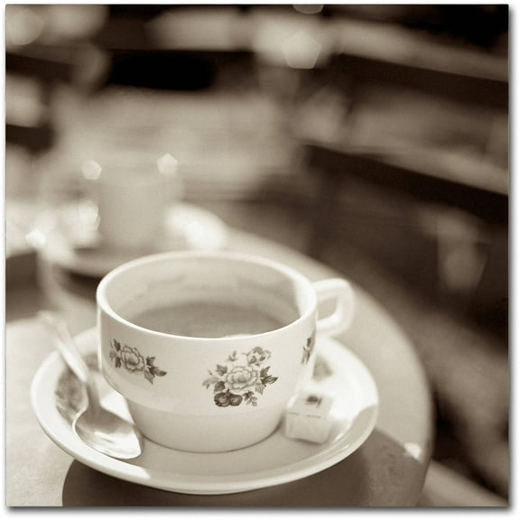 Trademark Fine Art "Jardin du Luxembourg II" Canvas Art by Alan Blaustein