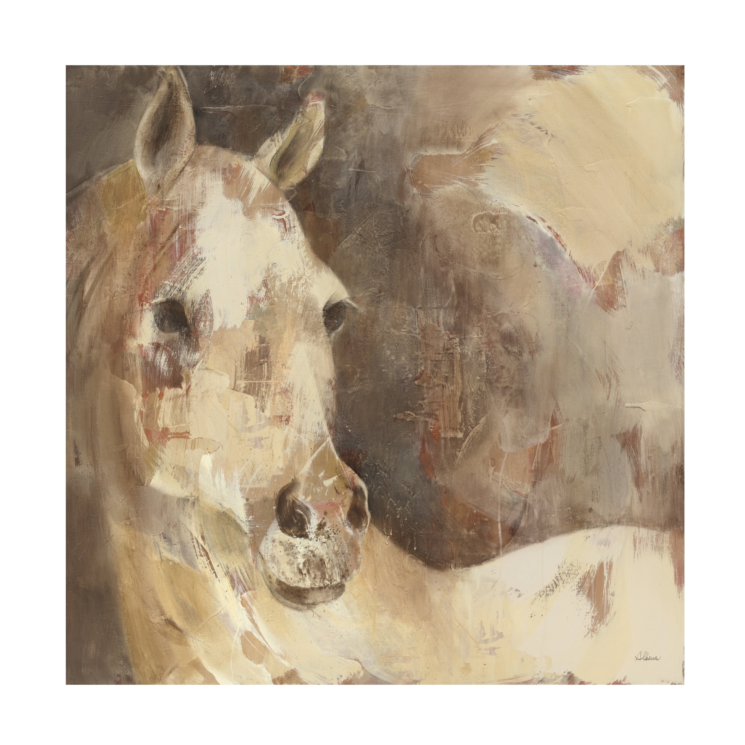 Trademark Fine Art 'Jasmine White Horse' Canvas Art by Albena Hristova