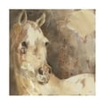 thumbnail image 1 of Trademark Fine Art 'Jasmine White Horse' Canvas Art by Albena Hristova, 1 of 4