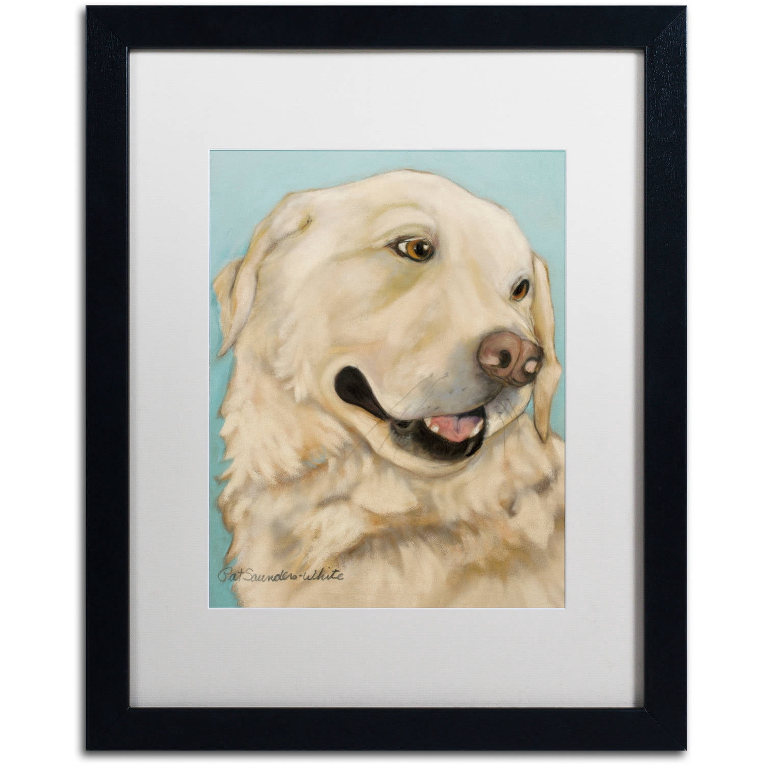 Trademark Fine Art "Jasper" Canvas Art by Pat Saunders-White, White Matte, Black Frame