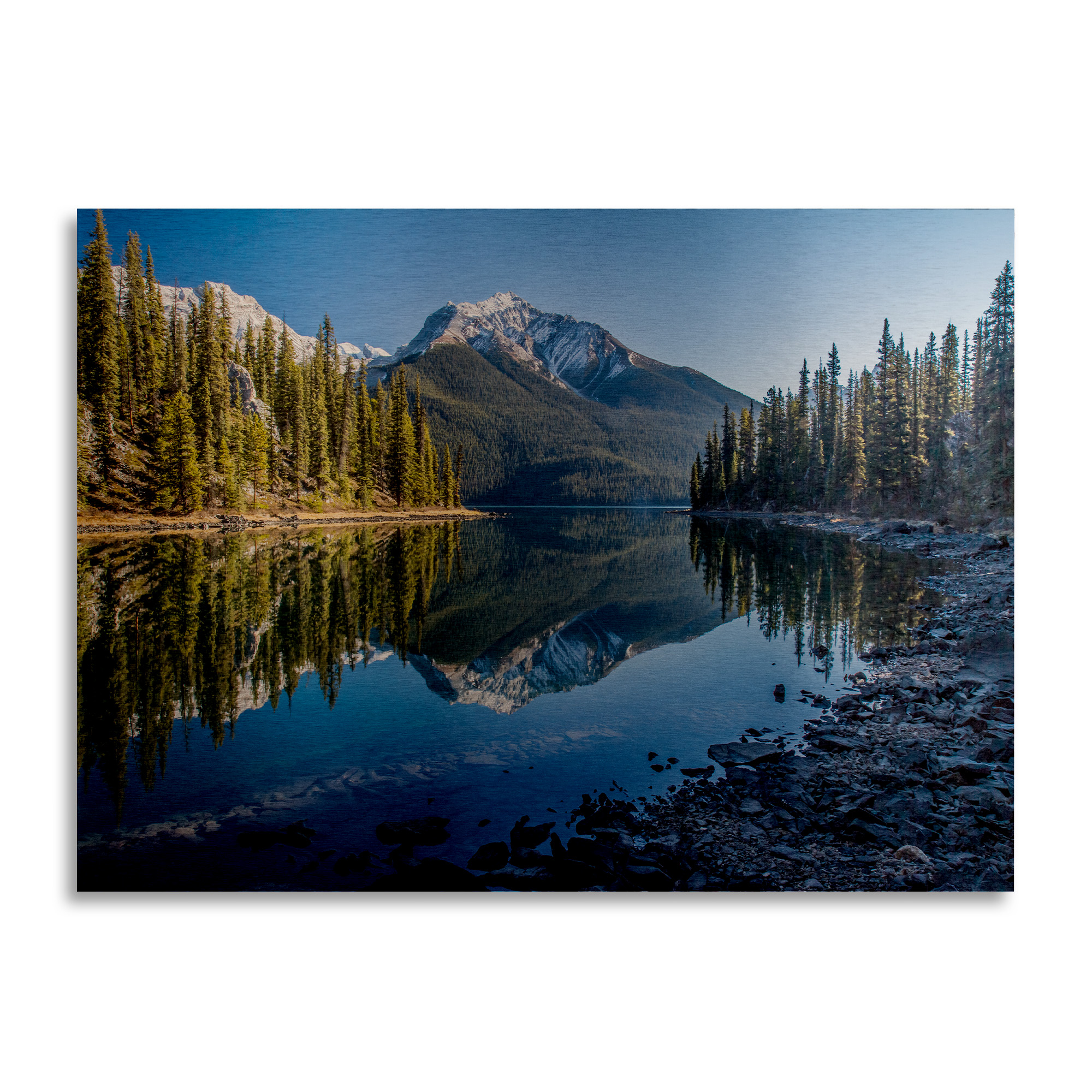 Trademark Fine Art 'Jasper Morning' Brushed Aluminum Wall Art Art by Pierre Leclerc