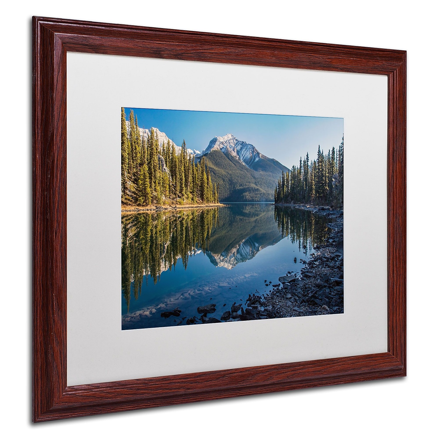 Trademark Fine Art "Jasper Morning" Canvas Art by Pierre Leclerc, White Matte/Wood Frame