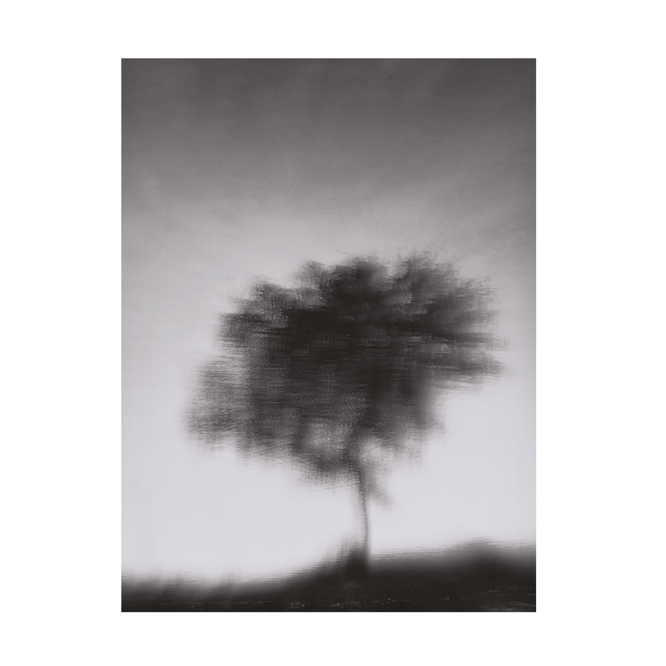 Trademark Fine Art Jassi Oberai Illusion Canvas Wall Art