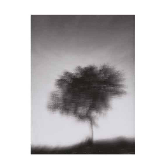 Trademark Fine Art Jassi Oberai Illusion Canvas Wall Art