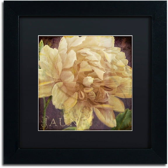 Trademark Fine Art "Jaune" Canvas Art by Color Bakery Black Matte, Black Frame
