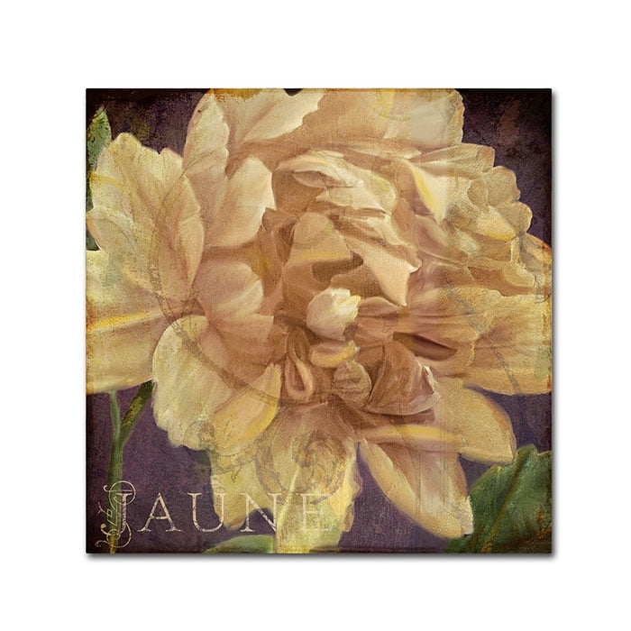 Trademark Fine Art "Jaune" Canvas Art by Color Bakery
