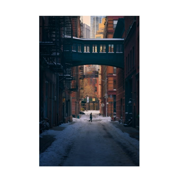 Trademark Fine Art Javier de la Under the Skybridge Canvas Wall Art