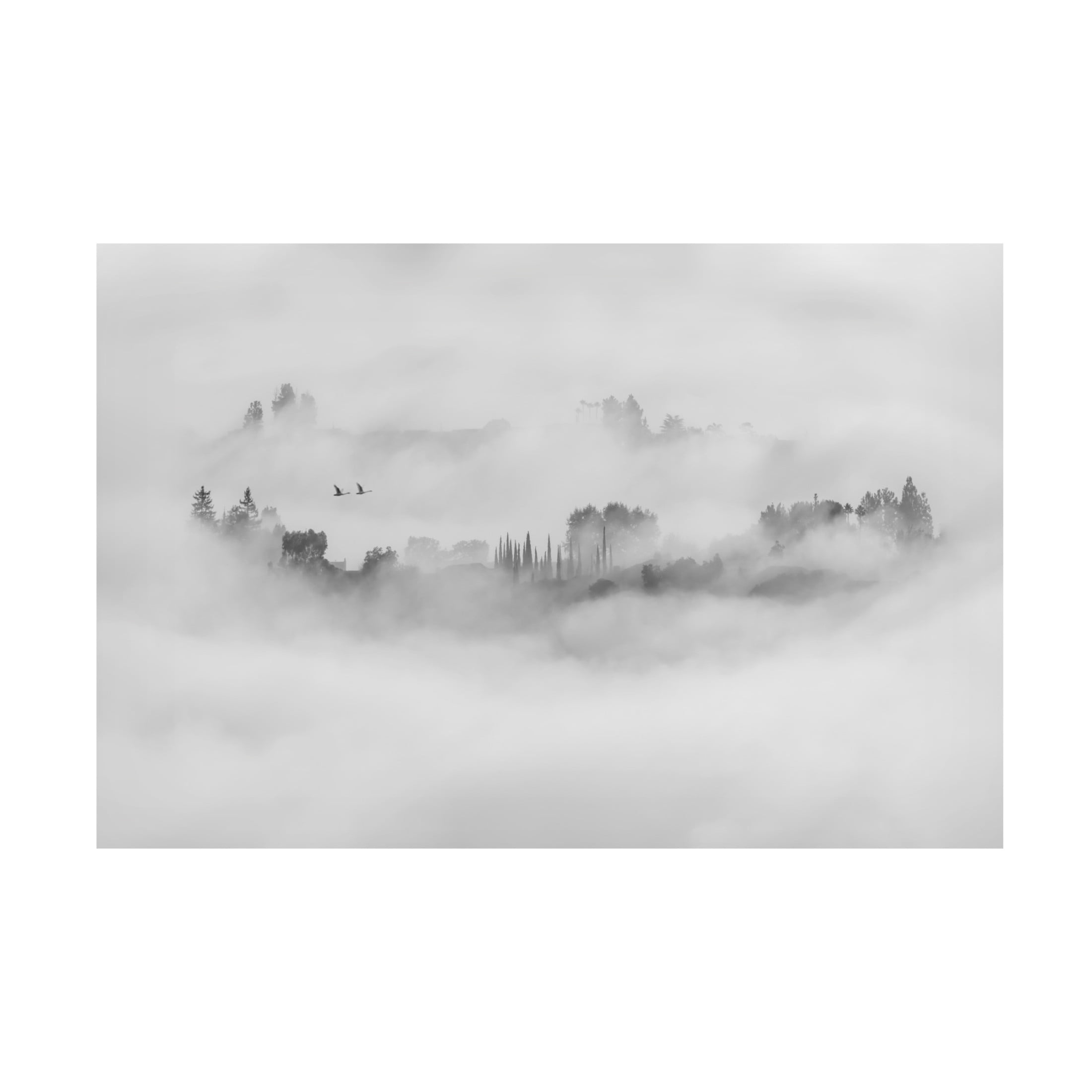 Trademark Fine Art Jay Wang Foggy Morning in Los Angeles Canvas Wall Art