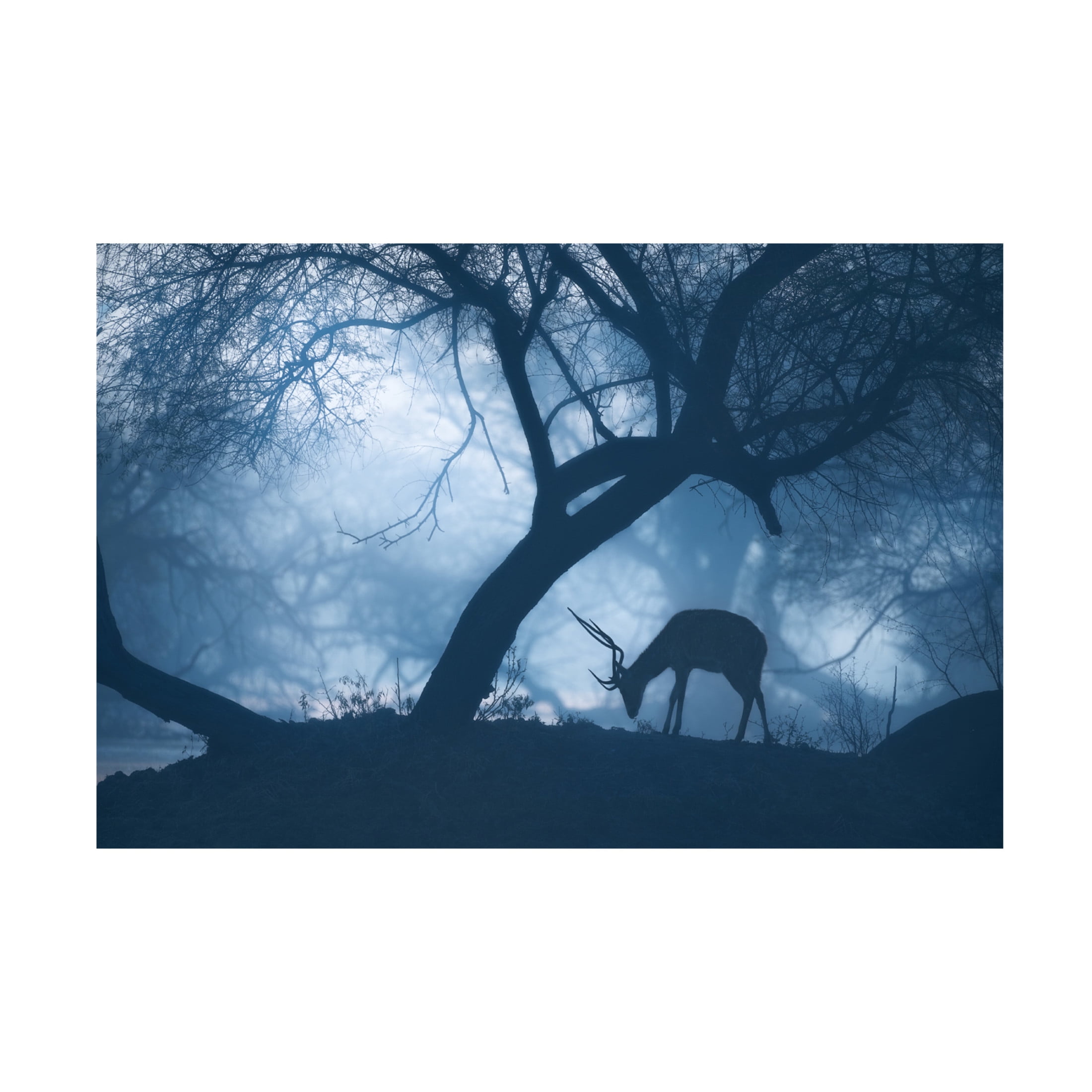 Trademark Fine Art Jayanta Guha Misty Winter Morning Canvas Wall Art