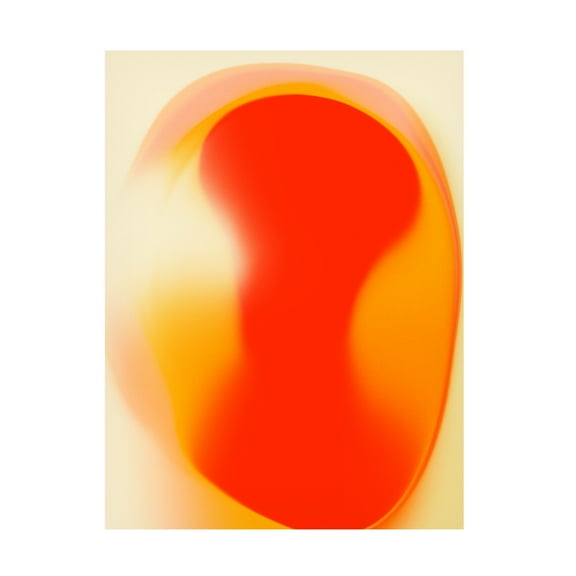 Trademark Fine Art Jazzberry Blue Focus 2 Canvas Wall Art