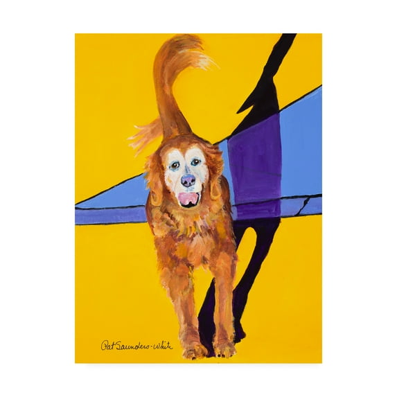 Trademark Fine Art 'Jazzy' Canvas Art by Pat Saunders-White
