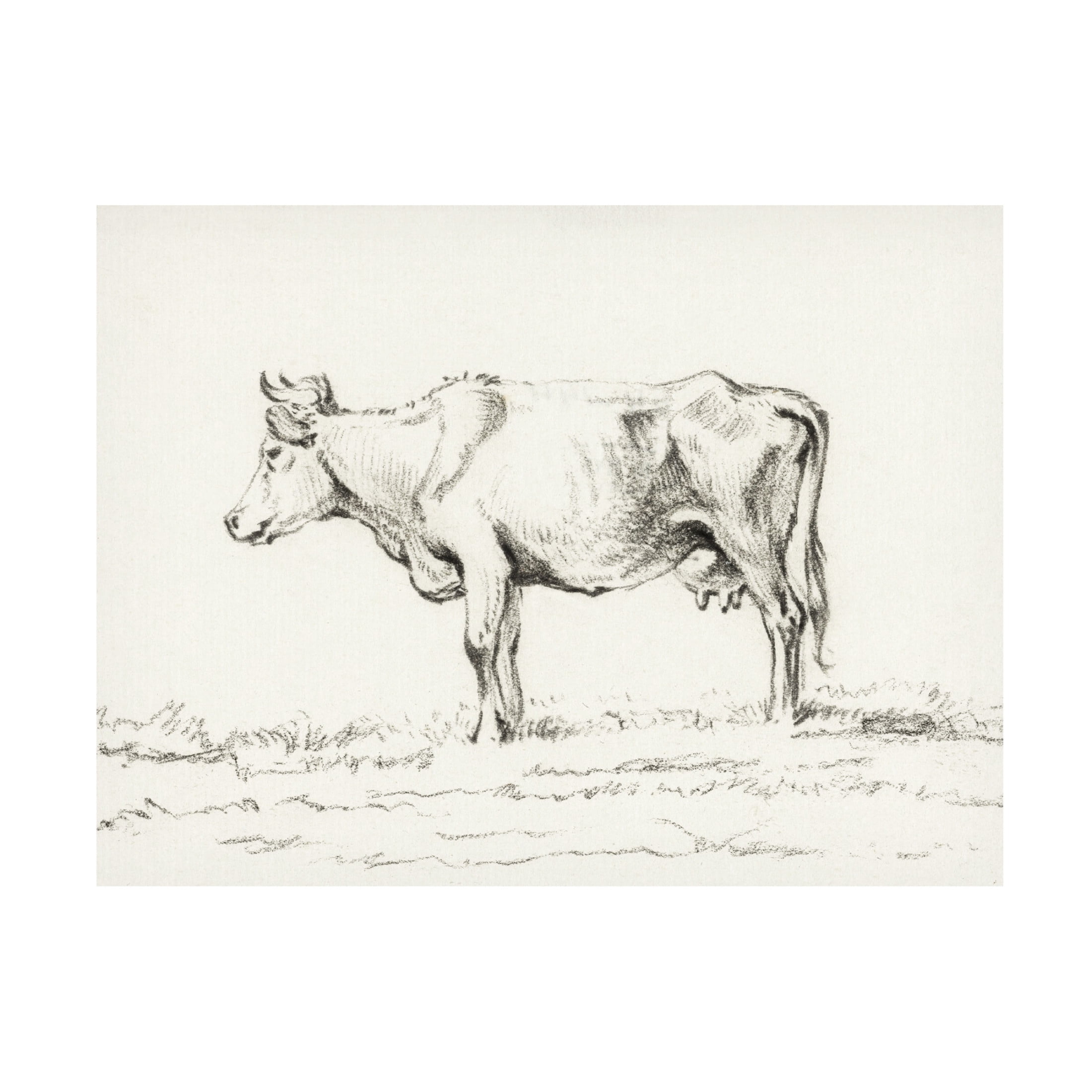 Trademark Fine Art Jean Bernard  Bernard Cow Sketch I Canvas Wall Art