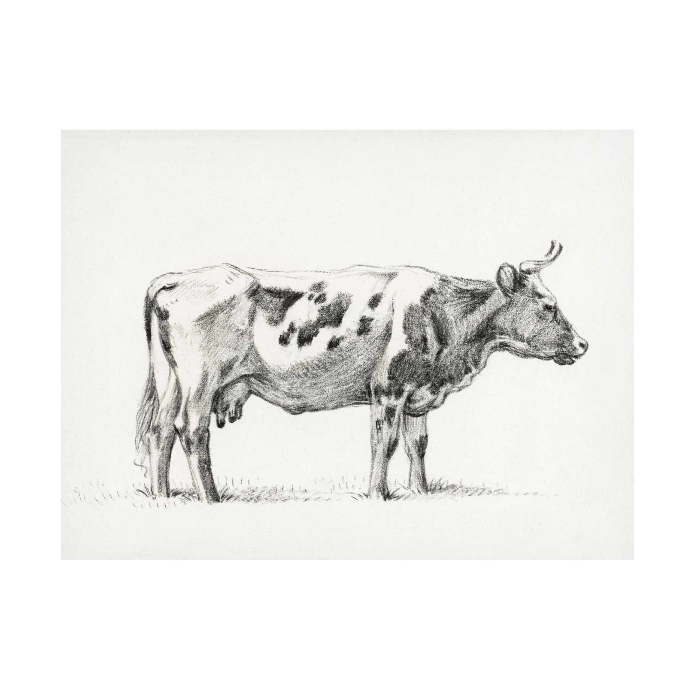 Trademark Fine Art Jean Bernard Bernard Cow Sketch III Canvas Wall Art
