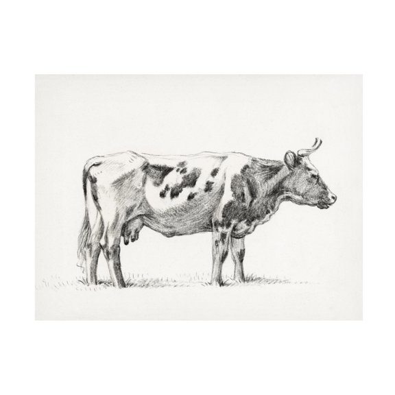Trademark Fine Art Jean Bernard Bernard Cow Sketch III Canvas Wall Art