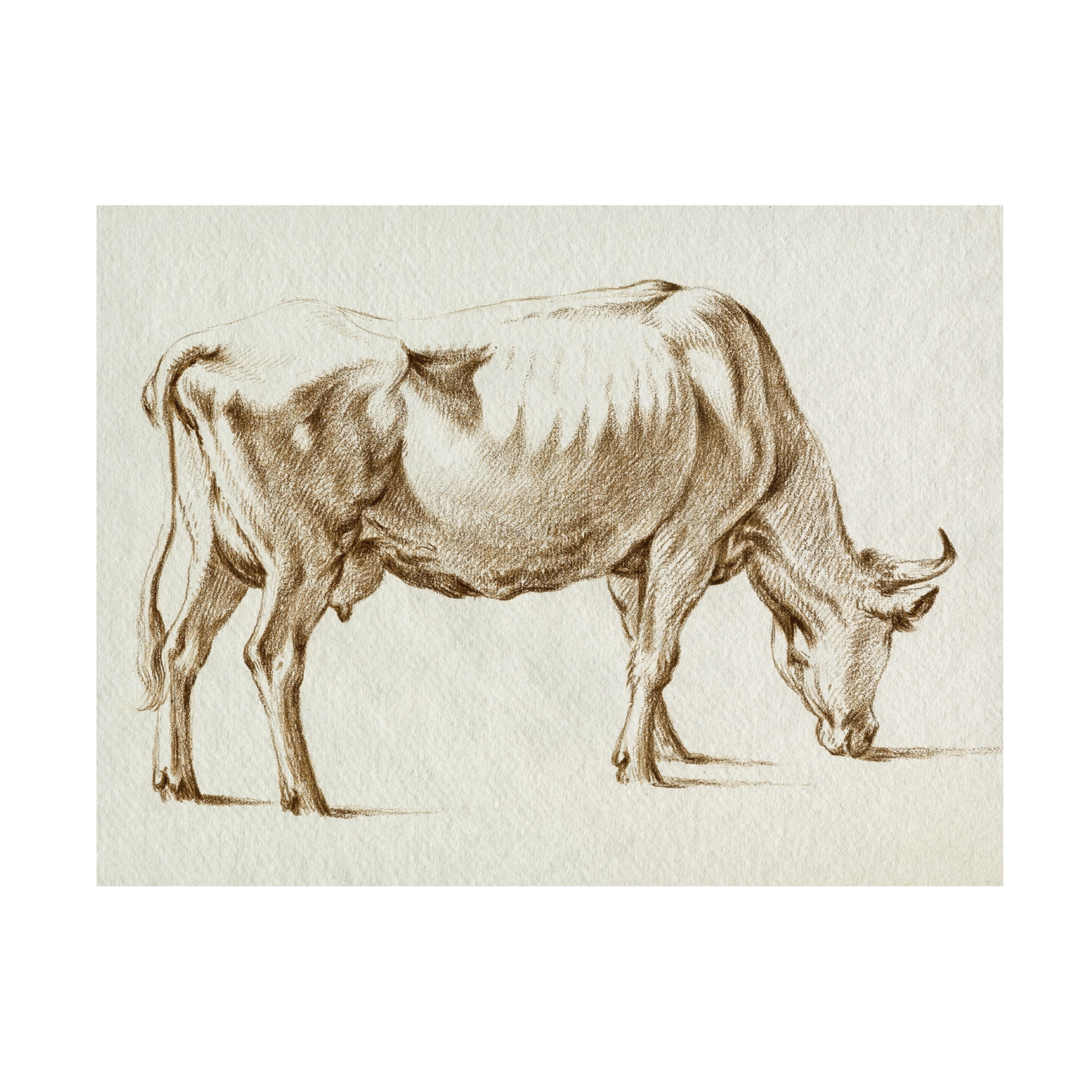 Trademark Fine Art Jean Bernard  Sepia Grazing Cow sketch I Canvas Wall Art