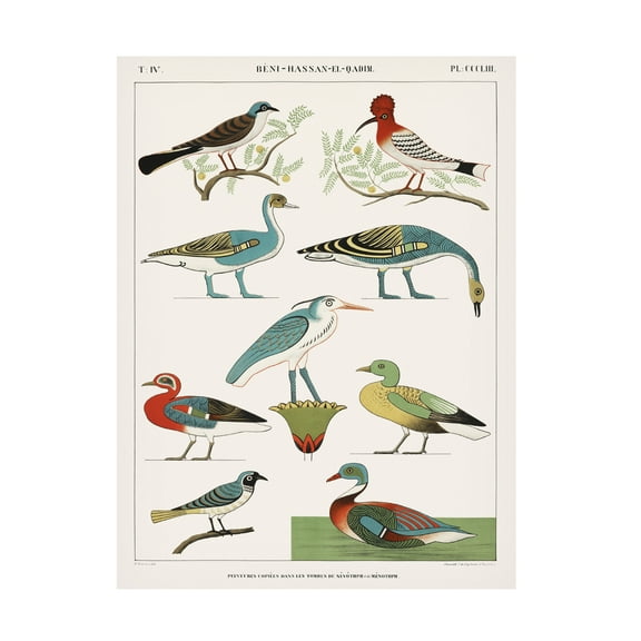 Trademark Fine Art Jean Francois Champollion Egyptian Bird Charts I Canvas Wall Art