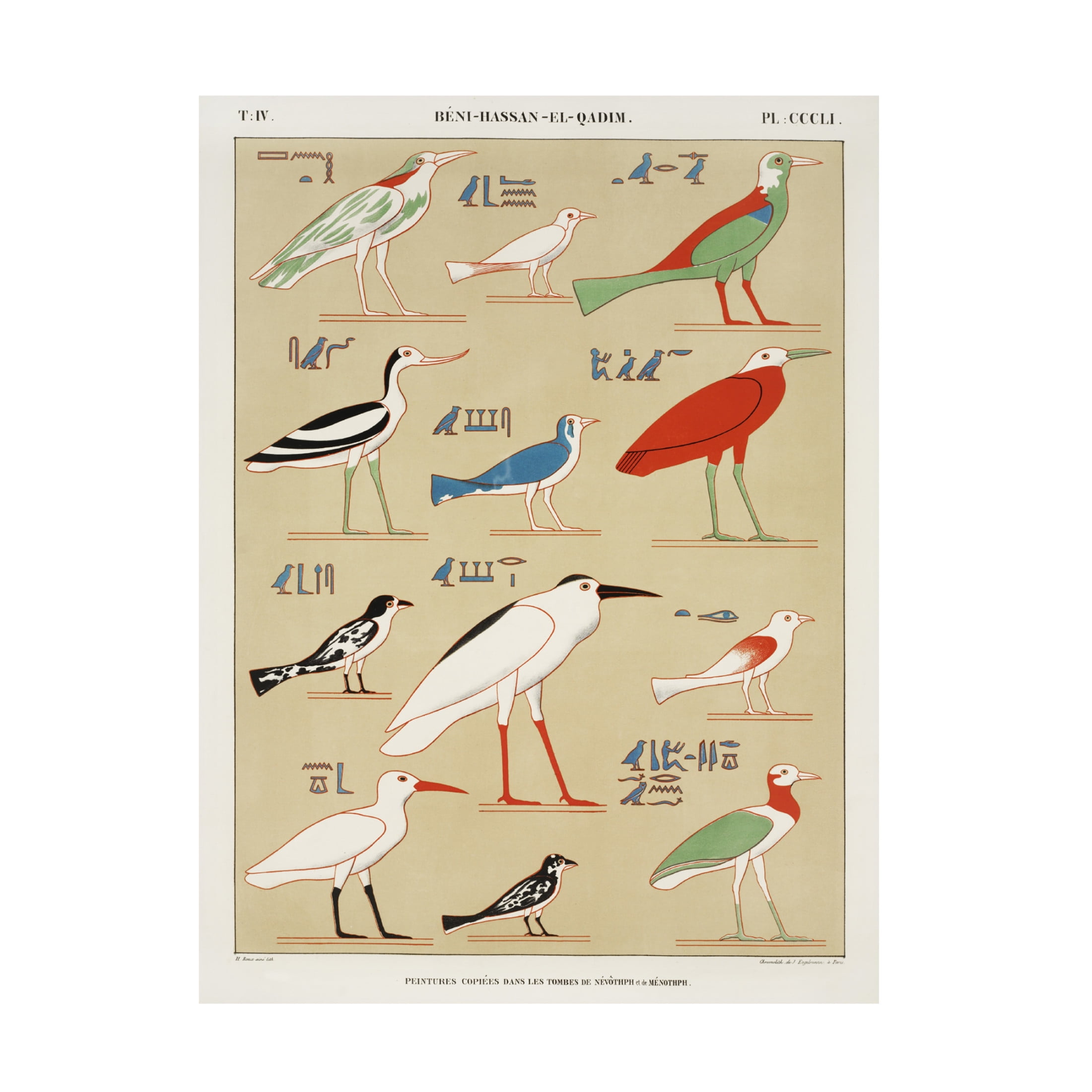 Trademark Fine Art Jean Francois Champollion  Egyptian Bird Charts II Canvas Wall Art
