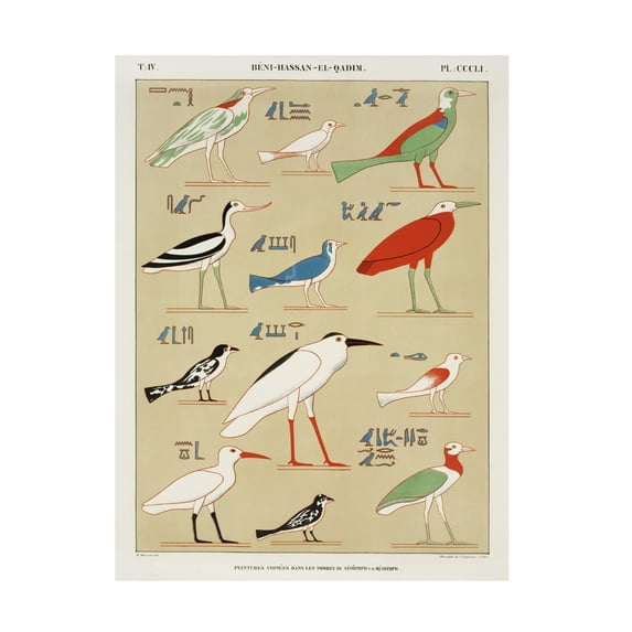 Trademark Fine Art Jean Francois Champollion Egyptian Bird Charts II Canvas Wall Art