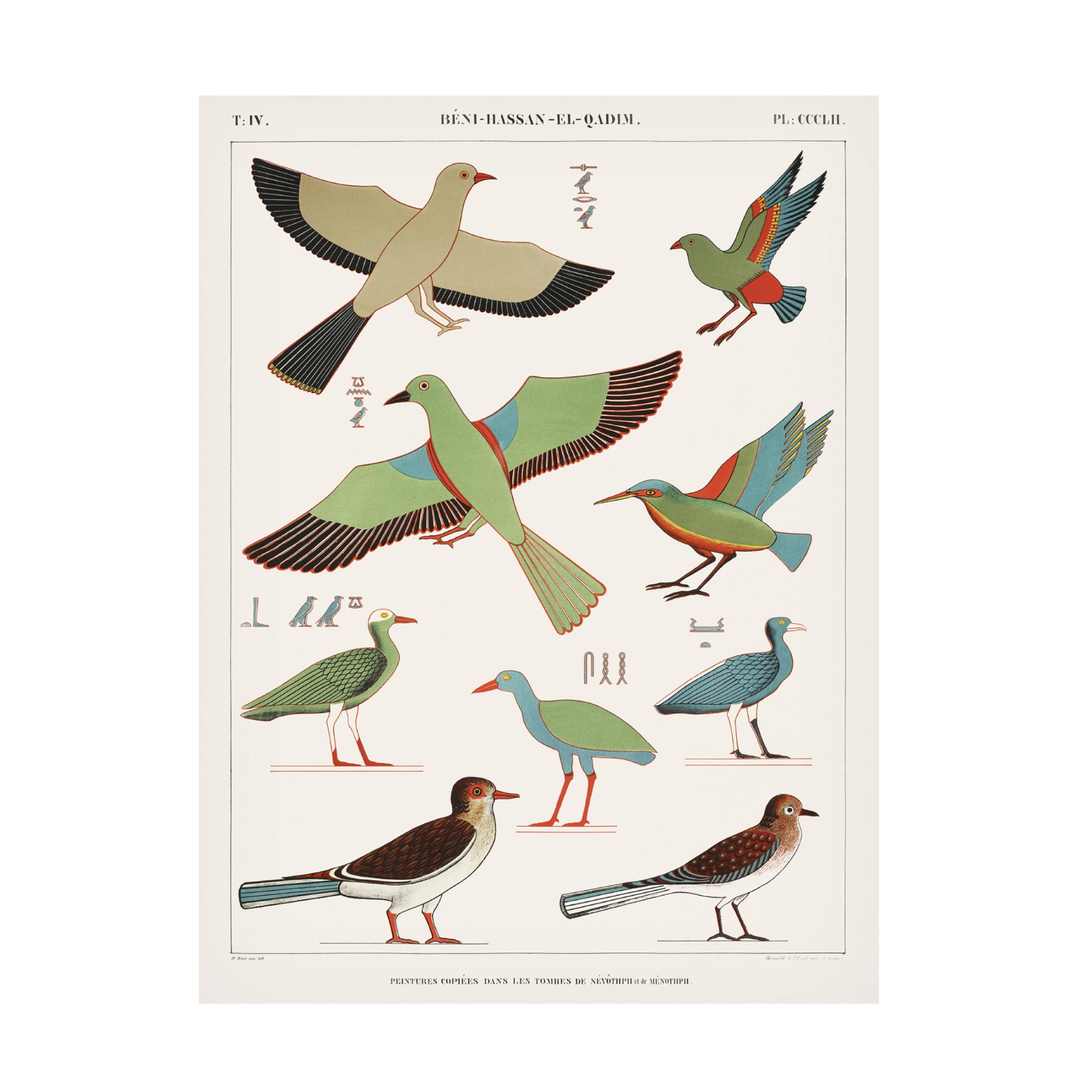 Trademark Fine Art Jean Francois Champollion  Egyptian Bird Charts III Canvas Wall Art