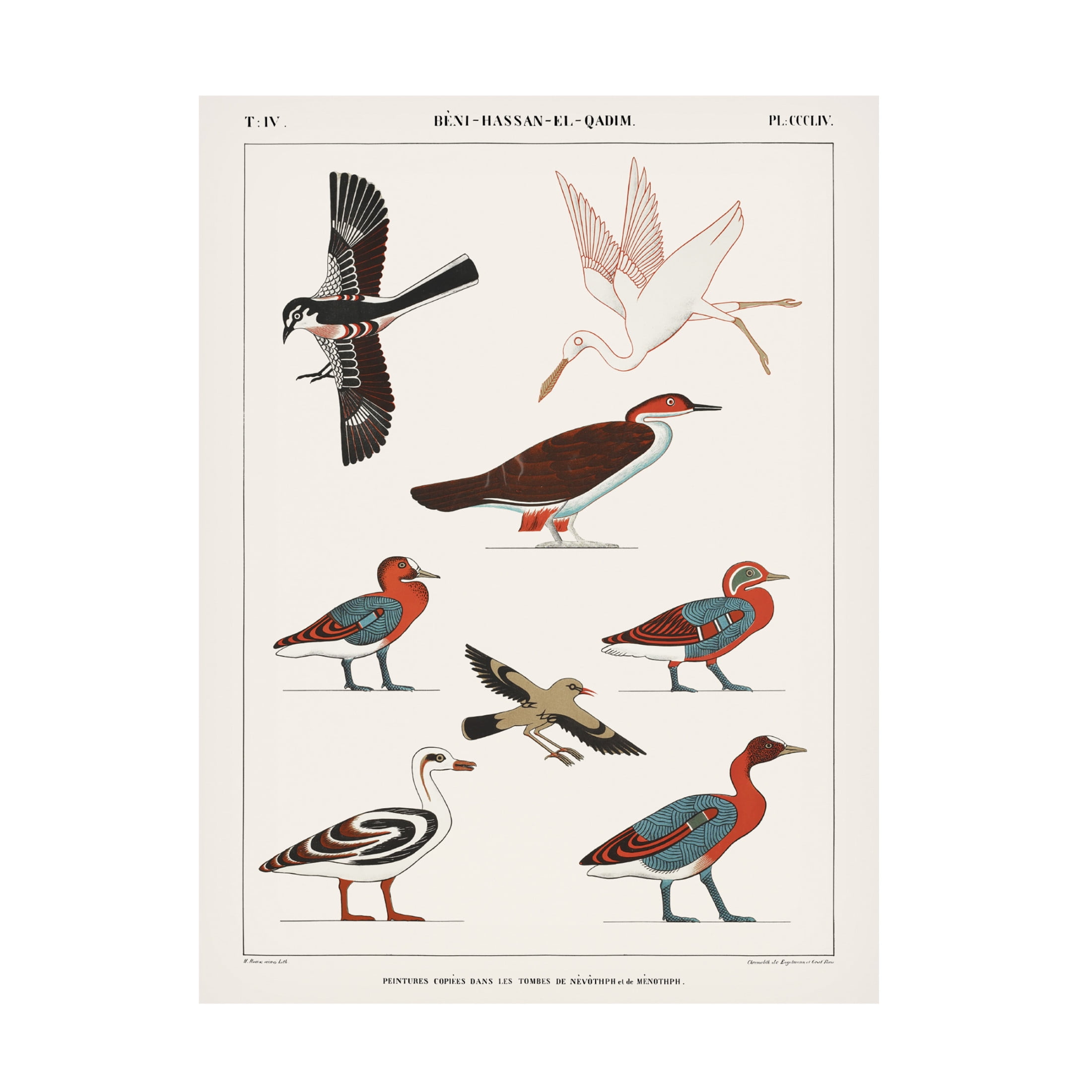 Trademark Fine Art Jean Francois Champollion Egyptian Bird Charts IV Canvas Wall Art