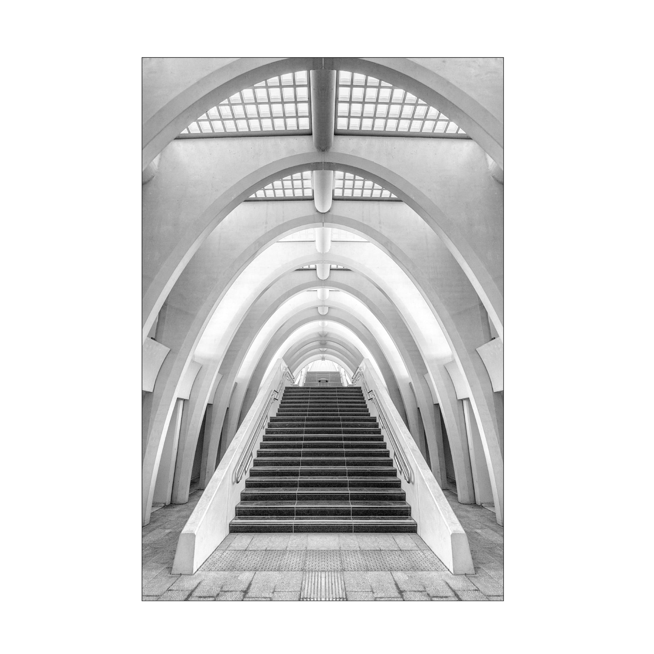 Trademark Fine Art Jef Van den Calatrava Lines Canvas Wall Art