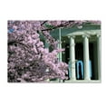 thumbnail image 1 of Trademark Fine Art 'Jefferson Blossoms' Canvas Art by Mitch Catanzaro, 1 of 3