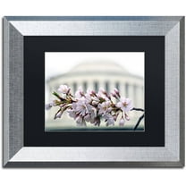 Trademark Fine Art "Jefferson Memorial Blossoms" Canvas Art by CATeyes, Black Matte, Silver Frame