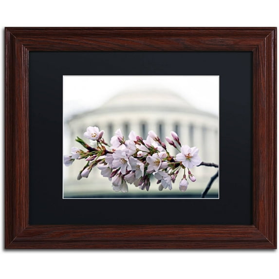 Trademark Fine Art "Jefferson Memorial Blossoms" Canvas Art by CATeyes, Black Matte, Wood Frame
