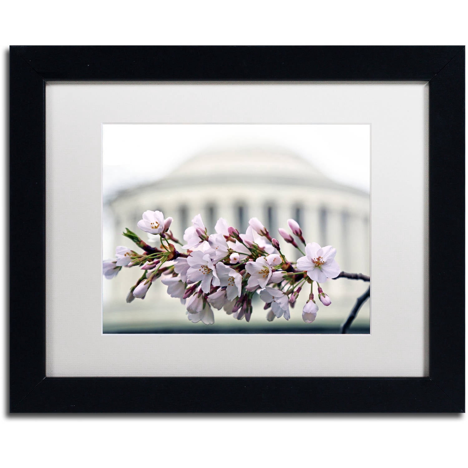 Trademark Fine Art "Jefferson Memorial Blossoms" Canvas Art by CATeyes, White Matte, Black Frame
