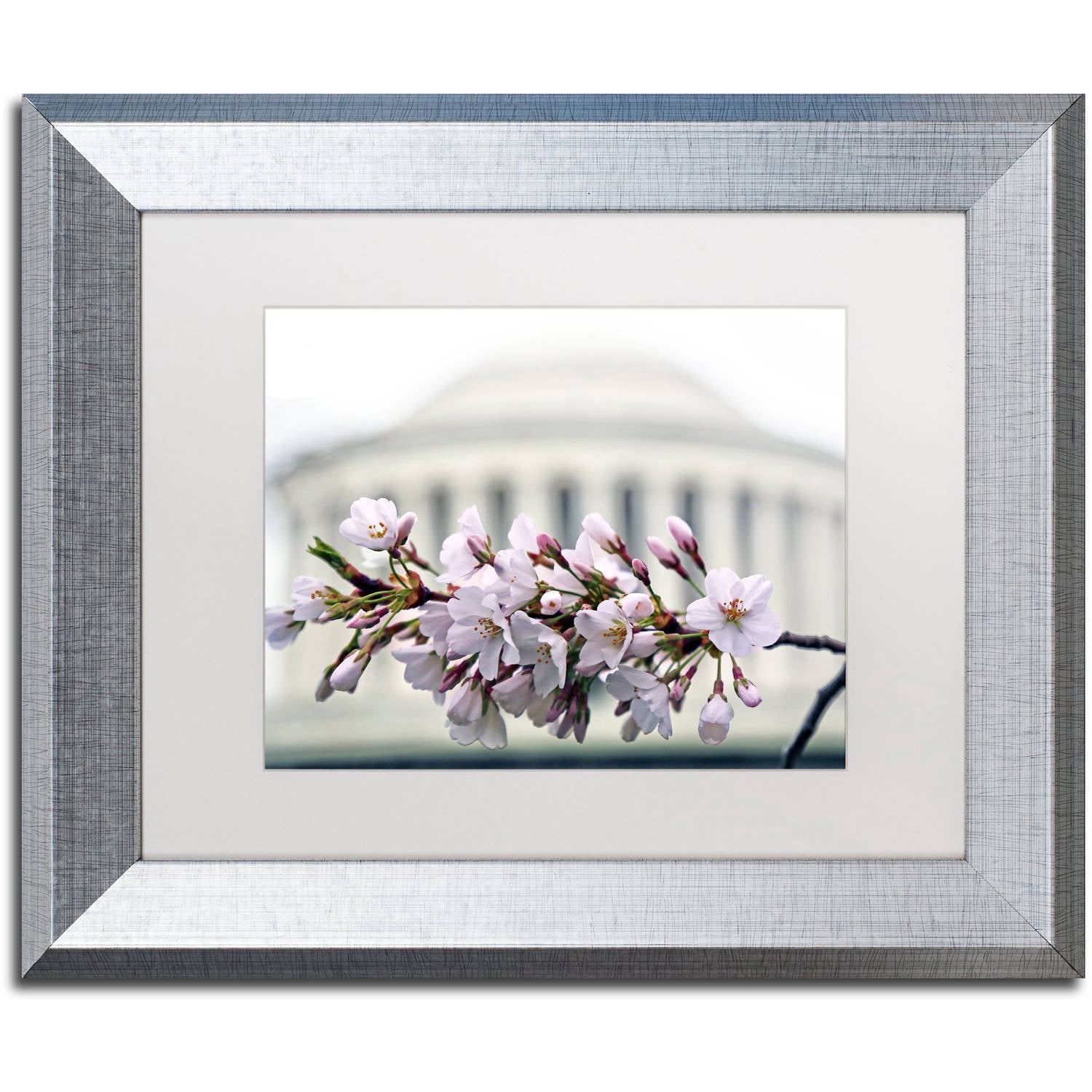 Trademark Fine Art "Jefferson Memorial Blossoms" Canvas Art by CATeyes, White Matte, Silver Frame