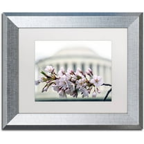 Trademark Fine Art "Jefferson Memorial Blossoms" Canvas Art by CATeyes, White Matte, Silver Frame