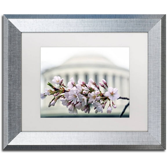 Trademark Fine Art "Jefferson Memorial Blossoms" Canvas Art by CATeyes, White Matte, Silver Frame