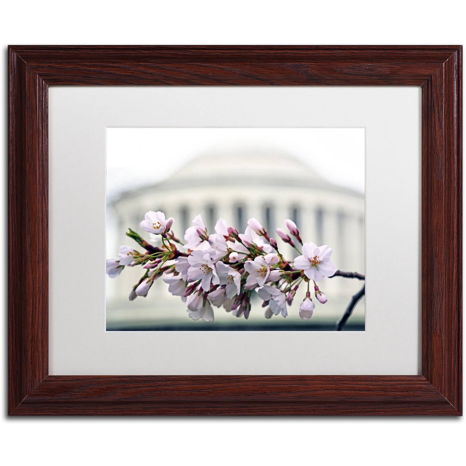 Trademark Fine Art "Jefferson Memorial Blossoms" Canvas Art by CATeyes, White Matte, Wood Frame