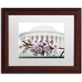 thumbnail image 1 of Trademark Fine Art "Jefferson Memorial Blossoms" Canvas Art by CATeyes, White Matte, Wood Frame, 1 of 4