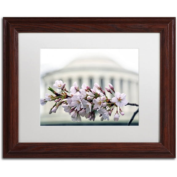 Trademark Fine Art "Jefferson Memorial Blossoms" Canvas Art by CATeyes, White Matte, Wood Frame