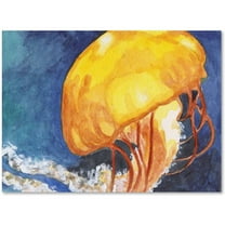 Trademark Fine Art "Jelly Fish II" Canvas Art by Jennifer Redstreake