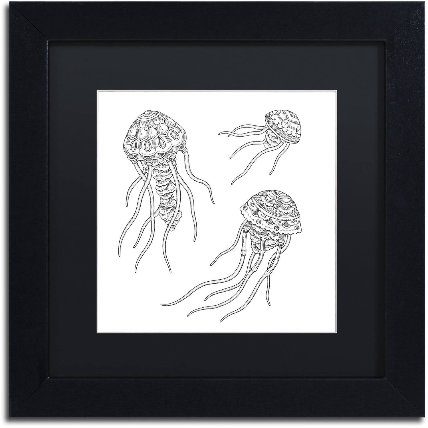 Trademark Fine Art 'Jellyfish Family' Canvas Art by Filippo Cardu Black Matte, Black Frame